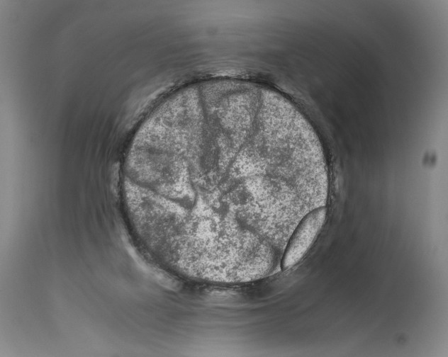 X0000112930066200910051141