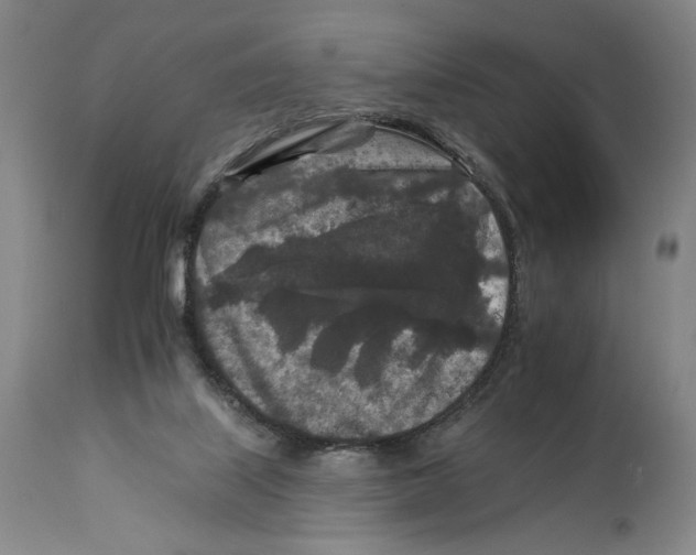 X0000112930067200910051141