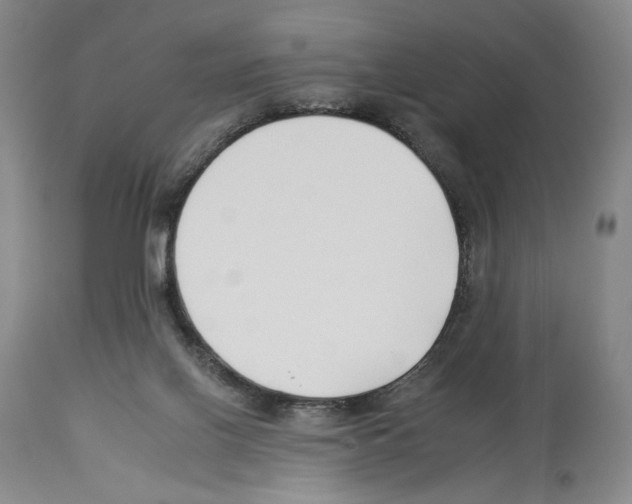 X0000112930070200910051141