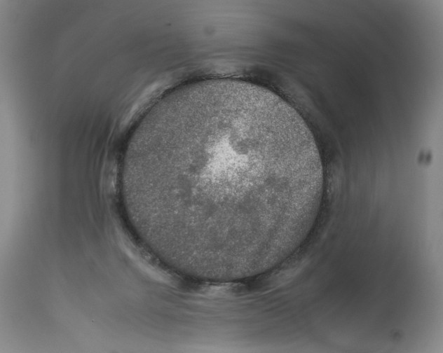 X0000112930072200910051141