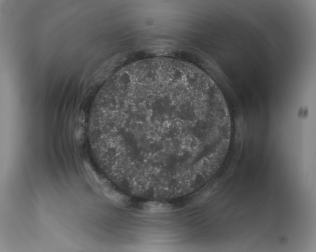 X0000112930073200910051141