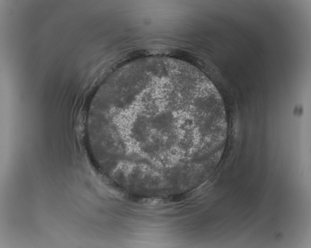 X0000112930074200910051141