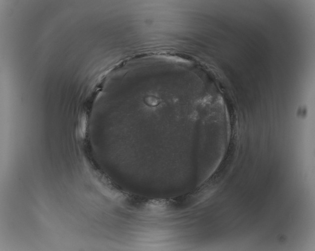 X0000112930076200910051141