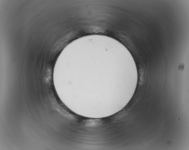 X0000112930077200910051141