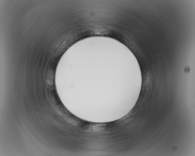 X0000112930078200910051141