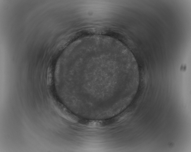X0000112930080200910051141