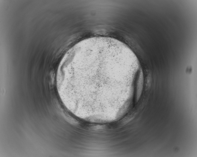 X0000112930081200910051141