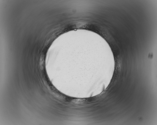 X0000112930082200910051141