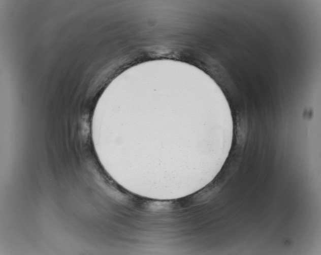 X0000112930085200910051141
