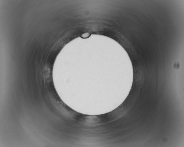 X0000112930087200910051142