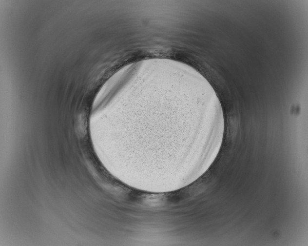X0000112930088200910051142