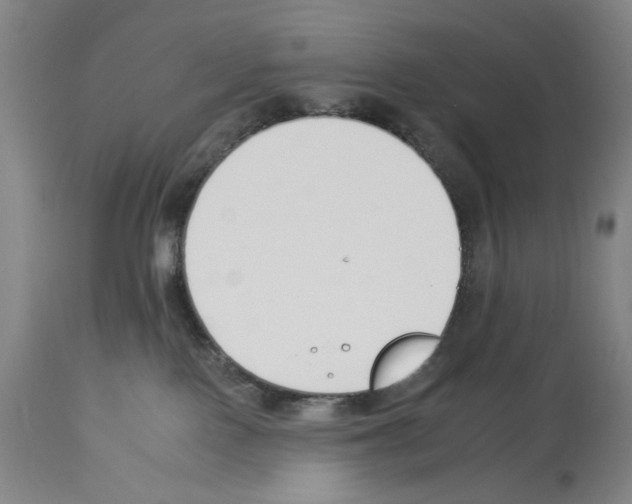 X0000112930090200910051142