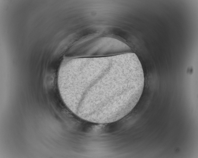 X0000112930092200910051142