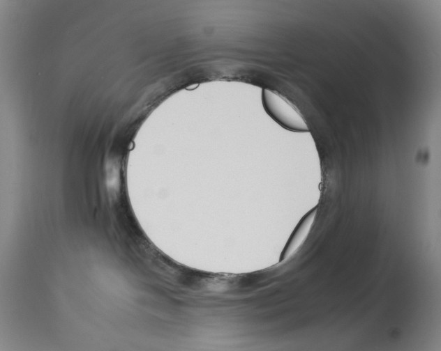 X0000112930094200910051142