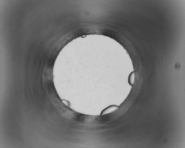 X0000112930096200910051142