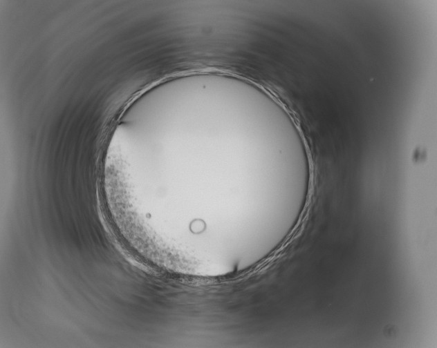 X0000112930097200910051141