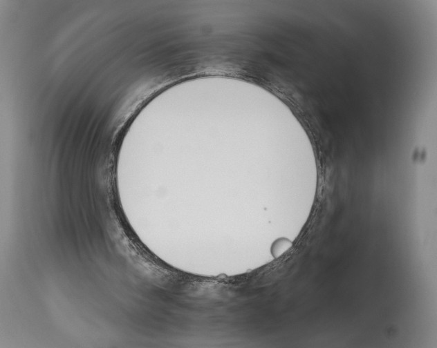 X0000112930098200910051141