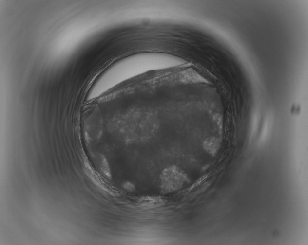 X0000112930099200910051141