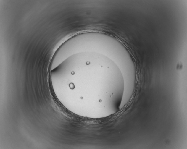 X0000112930100200910051141
