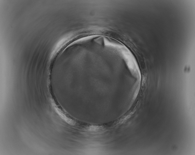 X0000112930101200910051141