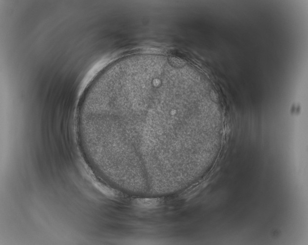 X0000112930102200910051141