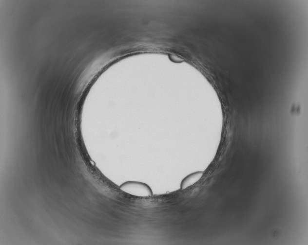 X0000112930103200910051141