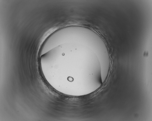 X0000112930104200910051141