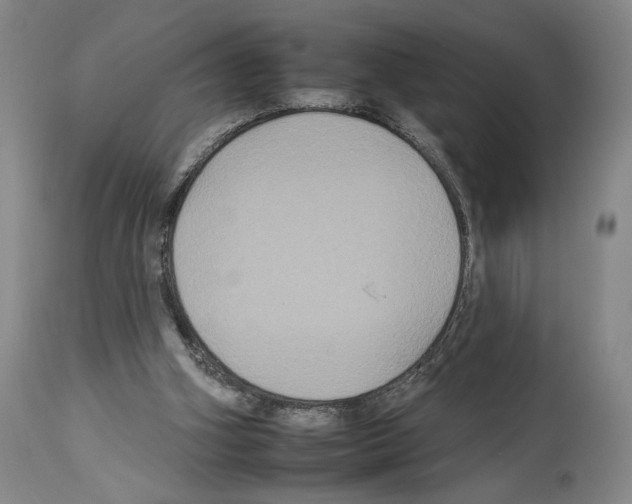 X0000112930106200910051141