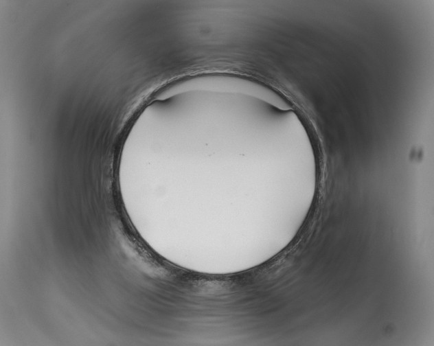 X0000112930107200910051141
