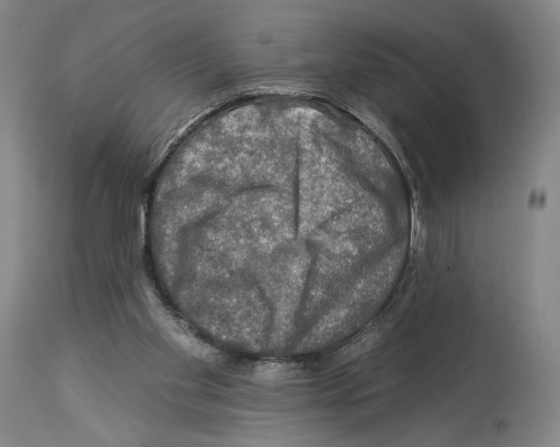 X0000112930109200910051141