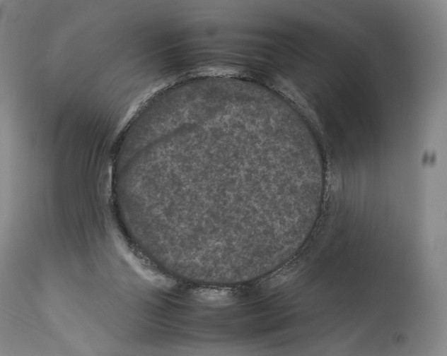X0000112930110200910051141