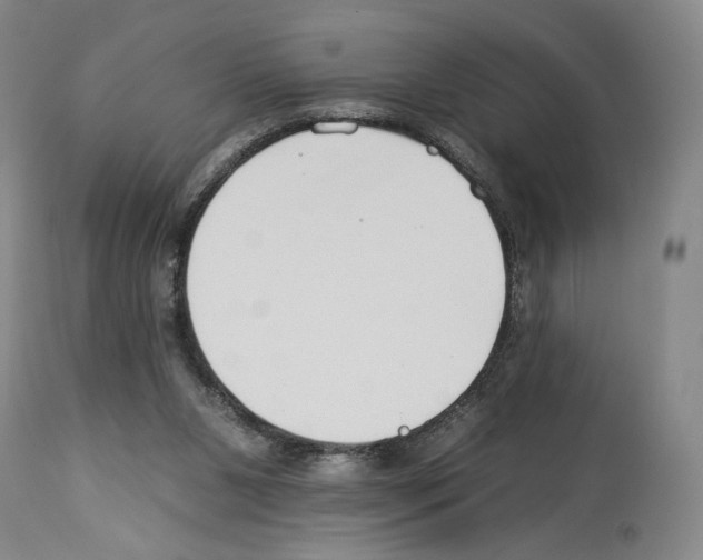 X0000112930111200910051141