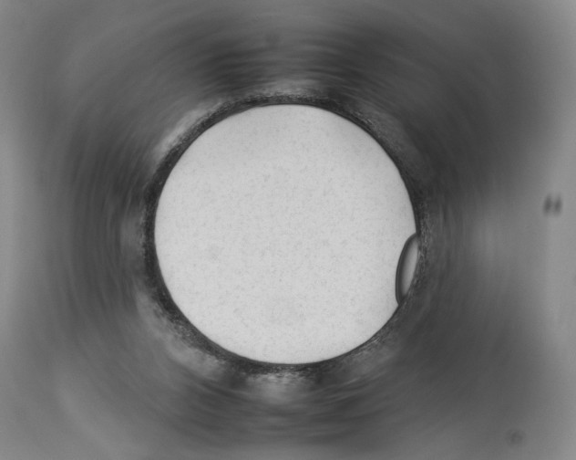 X0000112930112200910051141