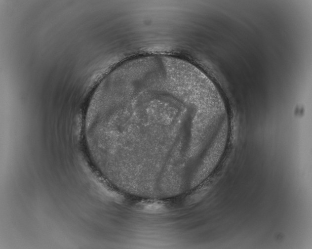 X0000112930113200910051141