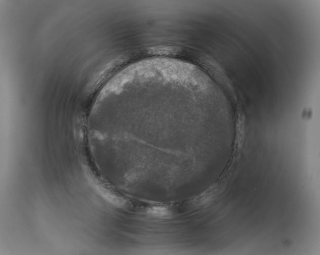 X0000112930114200910051141