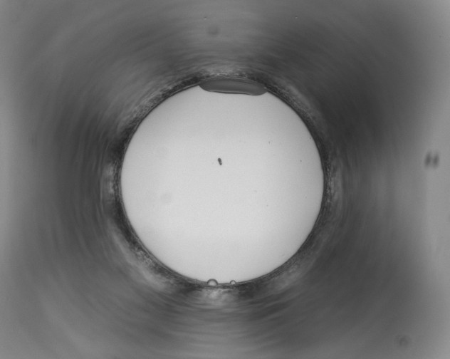 X0000112930117200910051141