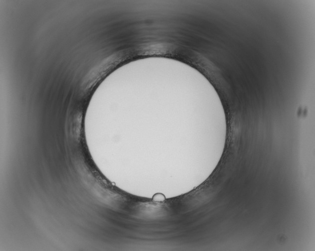 X0000112930118200910051141