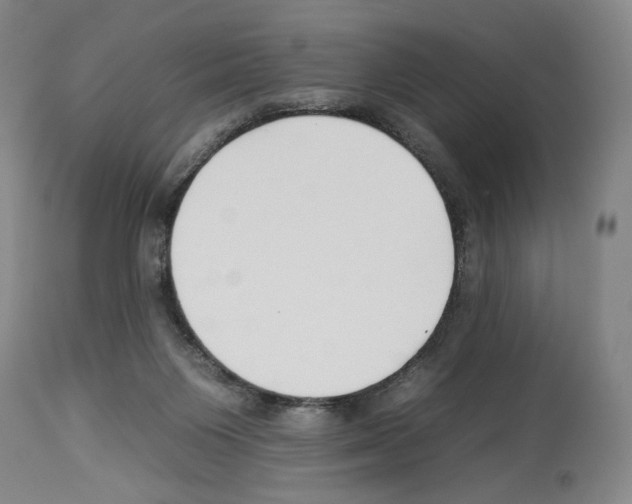 X0000112930119200910051141