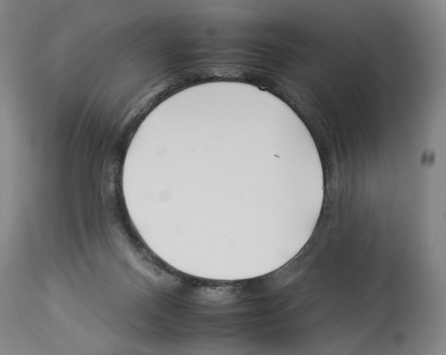 X0000112930120200910051141