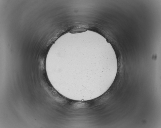 X0000112930123200910051141