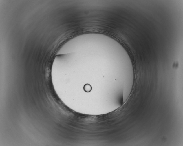 X0000112930124200910051141