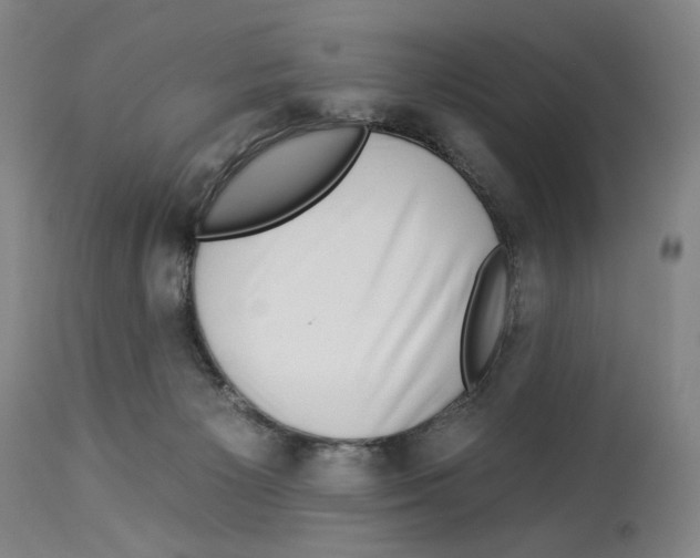 X0000112930125200910051141