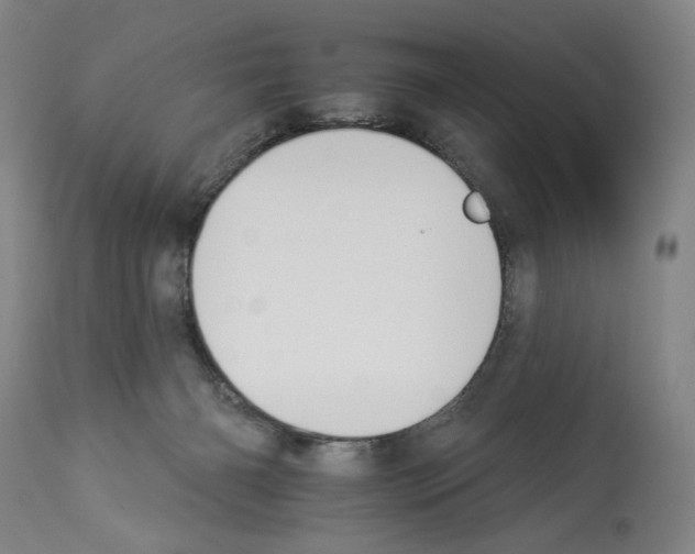 X0000112930126200910051141