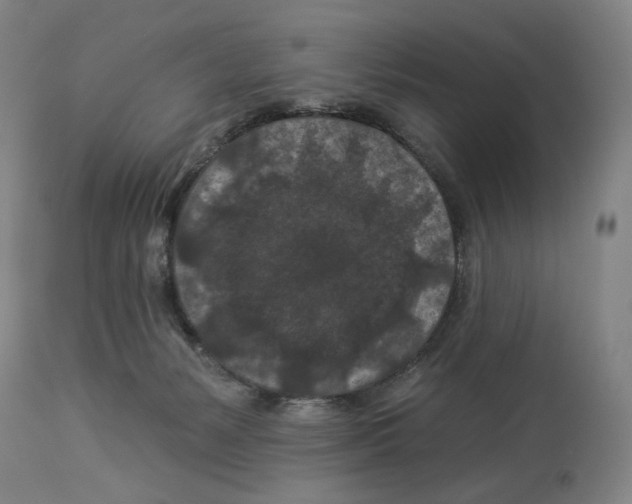 X0000112930127200910051141