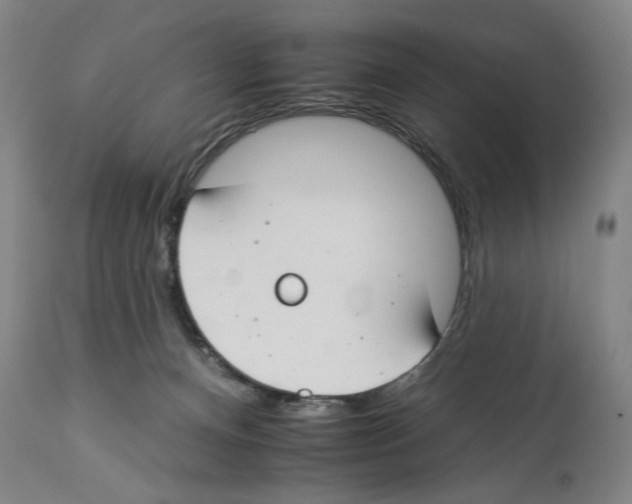 X0000112930128200910051141