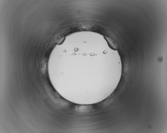 X0000112930129200910051141