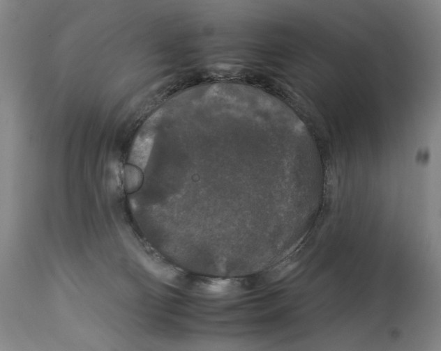 X0000112930130200910051141