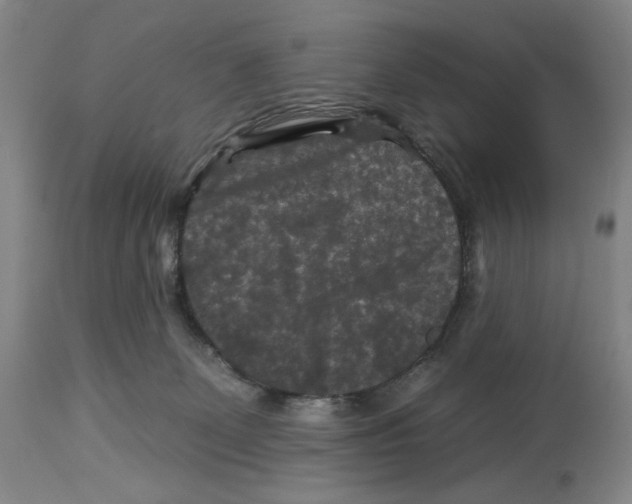 X0000112930131200910051141