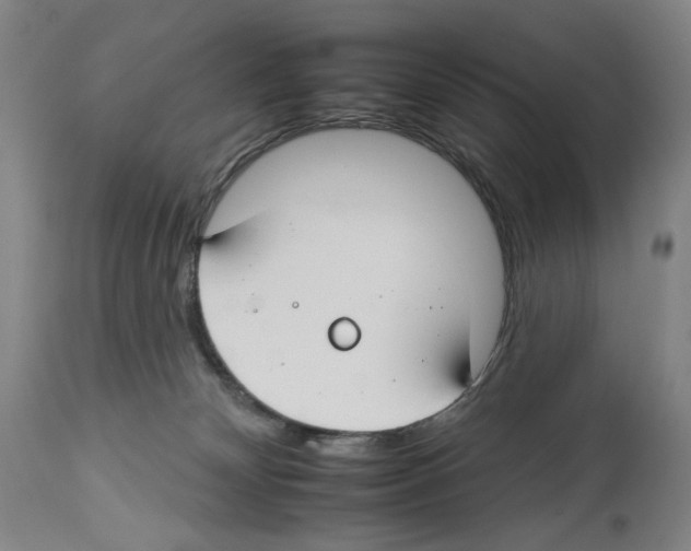 X0000112930132200910051140