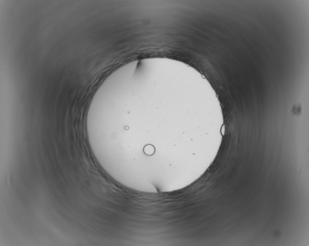 X0000112930133200910051140